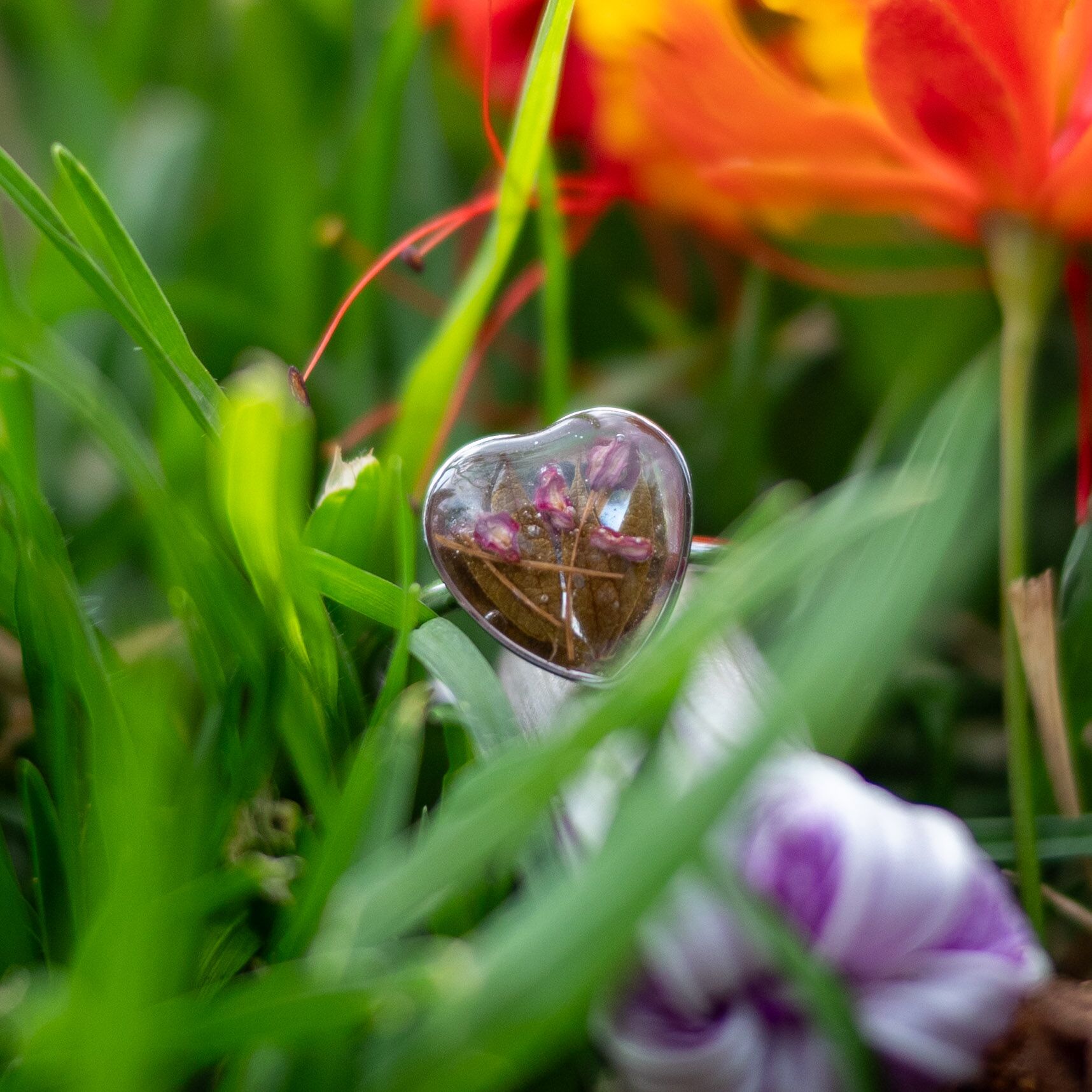 Corazón de raíces rojas
